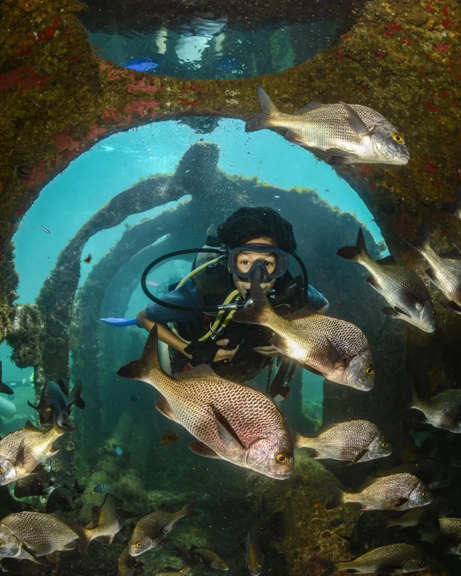 Mar e Vida Marinha